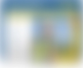 Confidential project preview.